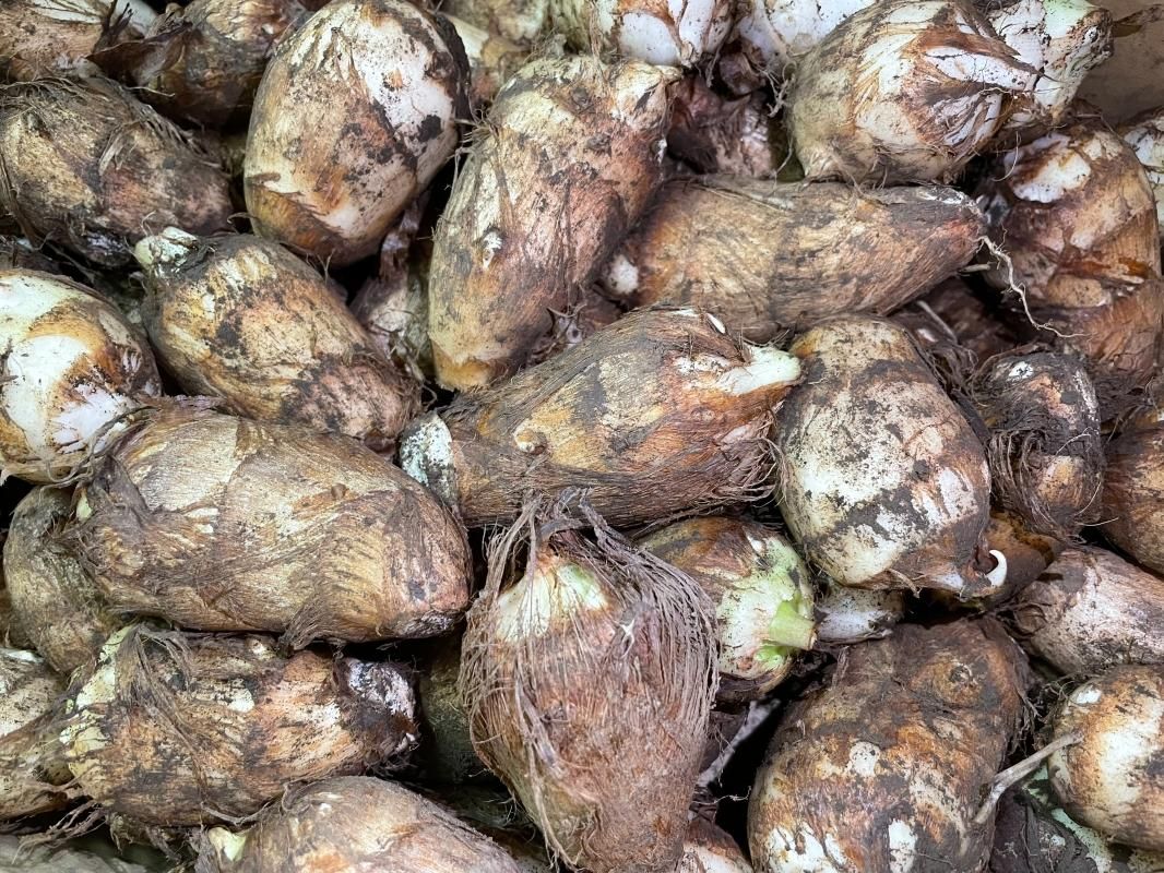 専用　里芋　農薬不使用　やはた芋＆野菜セット　80size 専用 里芋 農薬不使用 やはた芋＆野菜セット 80size 農薬・肥料不