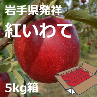 米崎りんご（紅いわて） 5kg