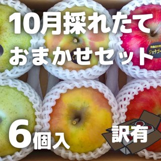 【訳有】米崎りんご（10月採れたておまかせ） 6個入