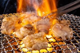 βеĲ1kg/µ/ ۥ/ / / / /BBQ /Ĥޤ /