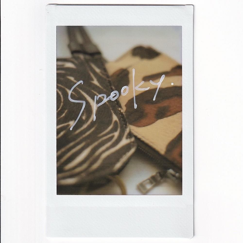 NICENESS SPOOKY ס NN֥륱 DK.BROWN