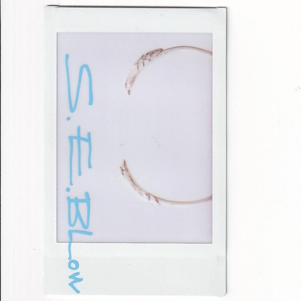 NICENESS S.E.BLOW  NN Eagle Silver Bangle  3mm