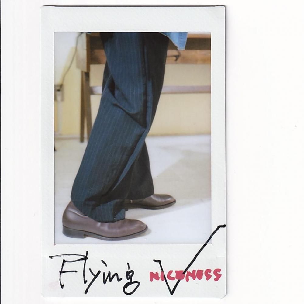 NICENESS D.SCHENKER Overdyed Stripe Flying V Trousers