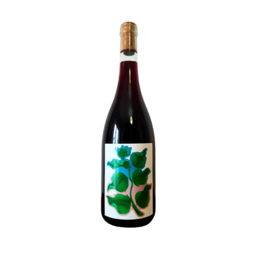 LADIDADI WINES ORTIE 2023