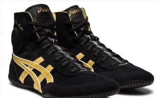 asics Dan Gable EVO 2.0