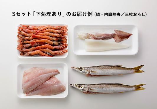 旬」のお魚セットＳ | 御来屋《みくりや》は鳥取のお魚通販サイト | 魚介・鮮魚のお取り寄せ