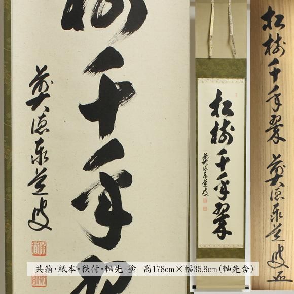 男女兼用 茶道具 掛軸 「松樹千年翠」 卓厳作 - crumiller.com