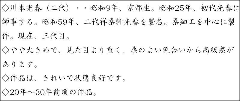 クレヨン7色祥桑軒　川本光春作　黒柿　縞柿　茶杓　共筒共箱　V　R7941 2025年最新】Yahoo!オークション -川本光春の中古品・新品・未