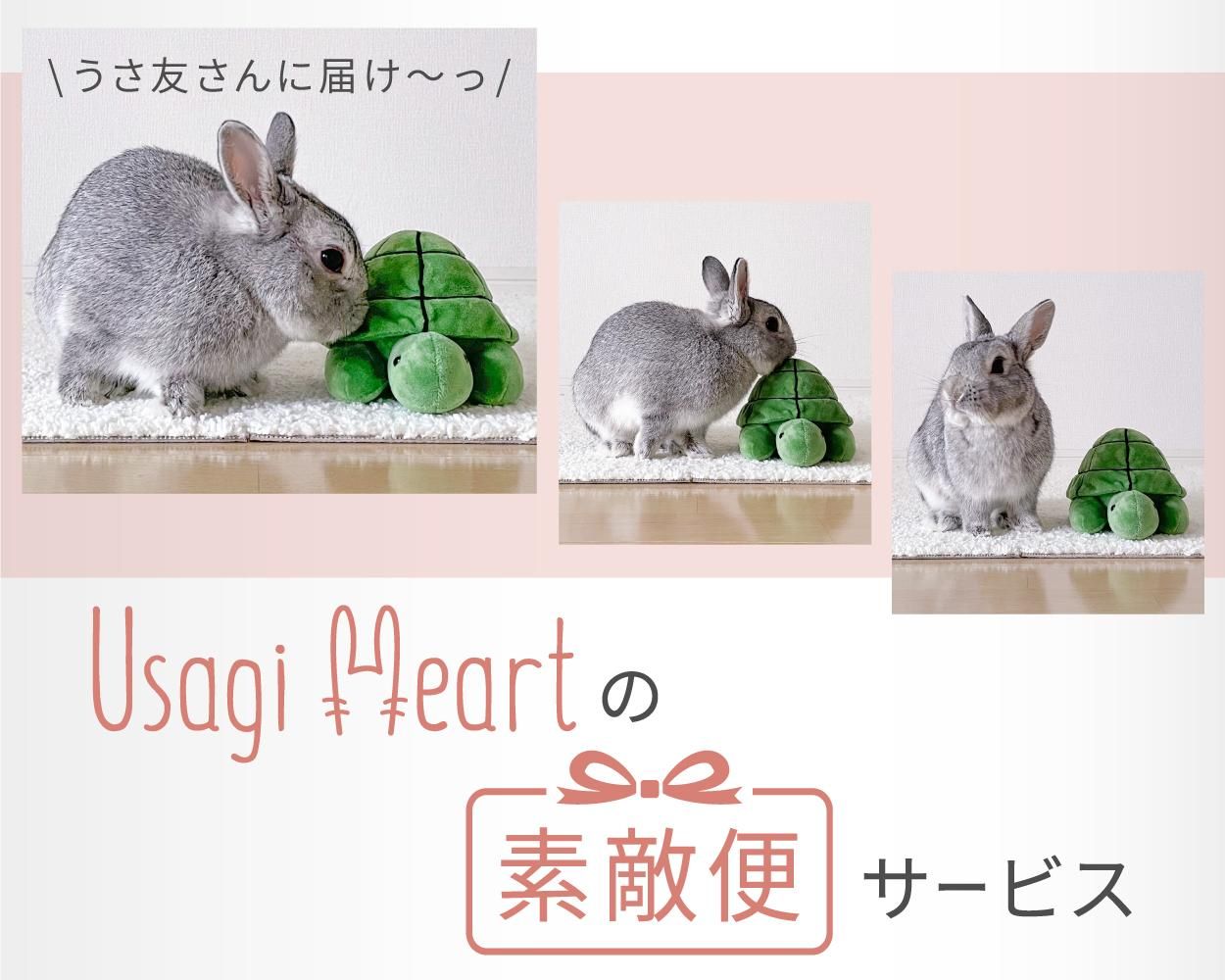 Usagi Heart Usagi Heart