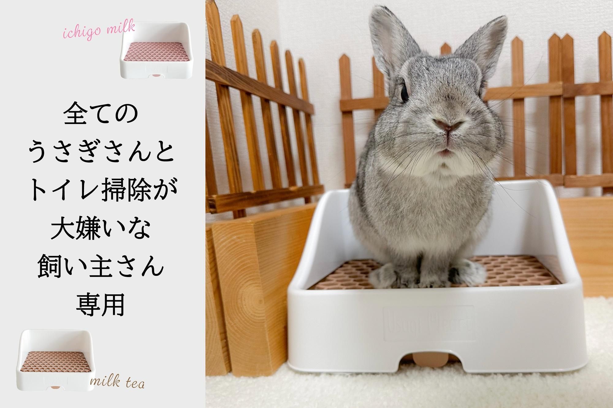 Ȼ礵󤬴֥ȥ
