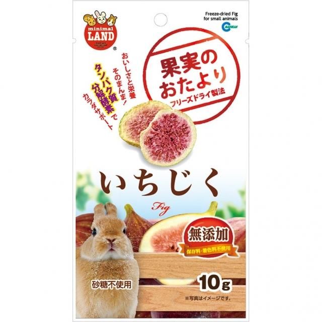 いちじくページ イチジク: 栽培から加工・売り方まで (新特産シリーズ) | 株本