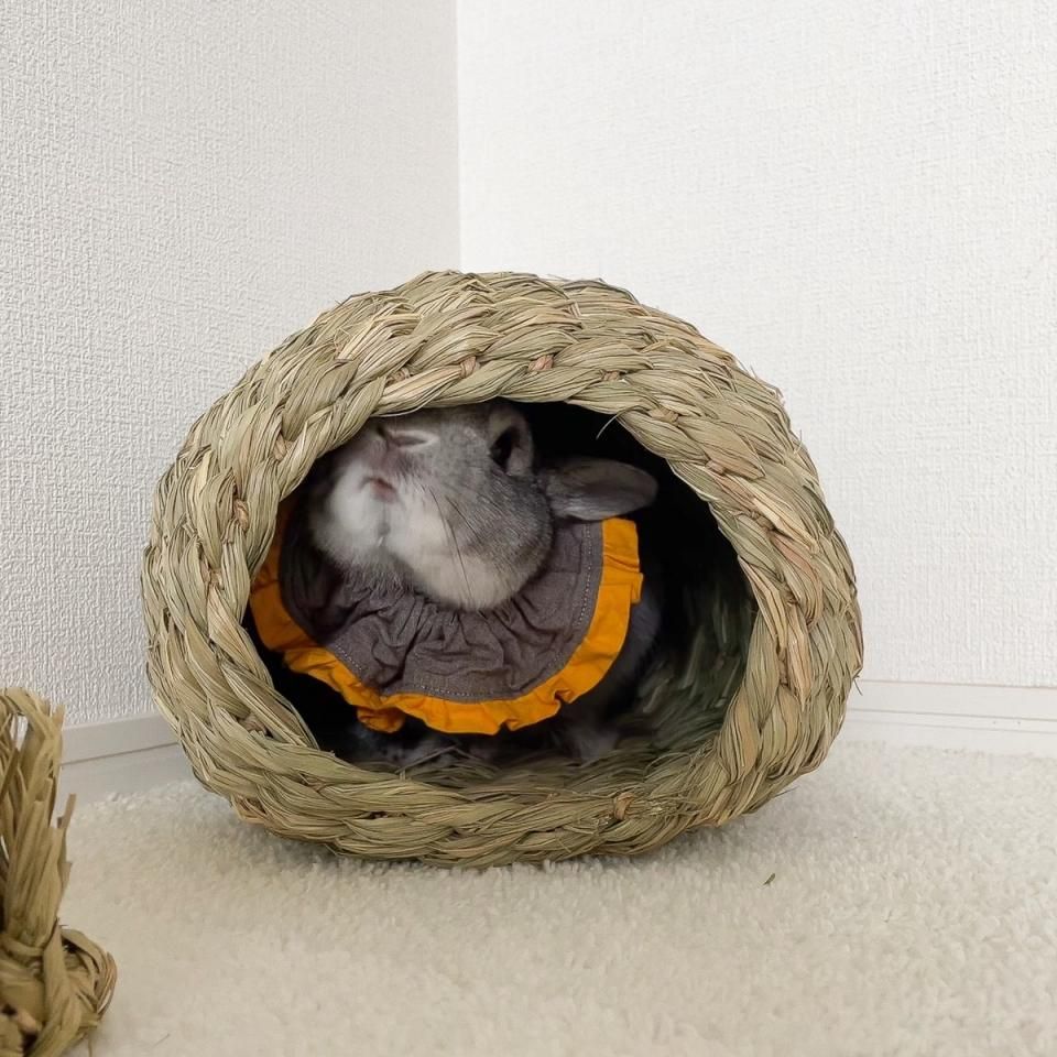 かまくらハウスL わらっこ倶楽部 カワイ カワイ Usagi Heart うさぎハート わらっこ倶楽部 うさぎハウス S サイズ