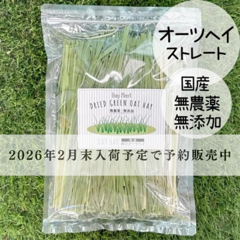 �ФΥ����ĥإ� ���ȥ졼�� 70g �������� | �������ϡ���