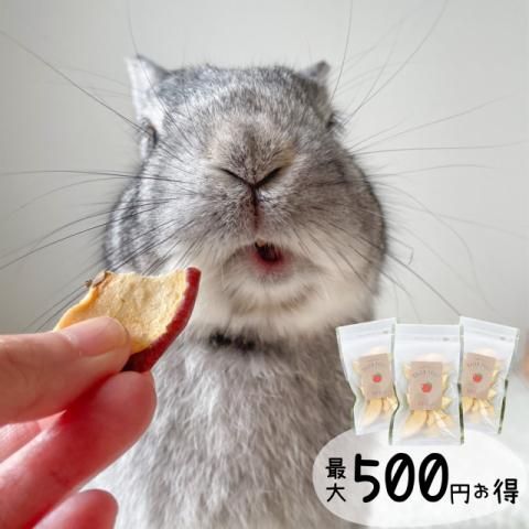 タイムセール】うさぎさん♡ロリポップキャンディ