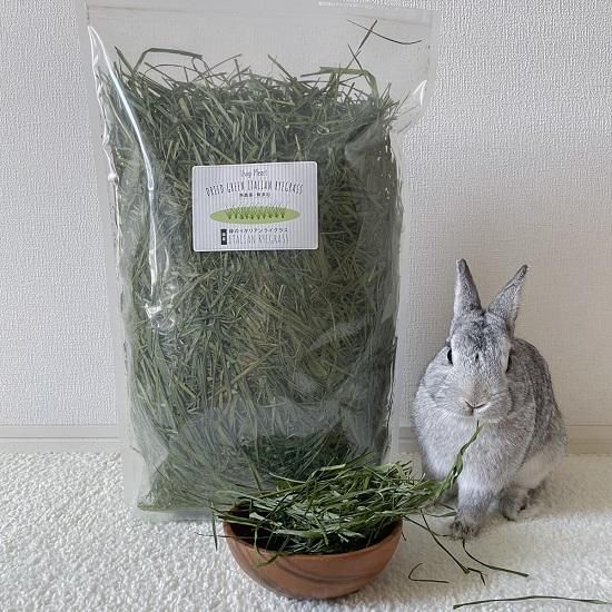 国産 無添加 無農薬の牧草 うさぎさんの緑のイタリアン 国産 無添加 無農薬の牧草 うさぎさんの緑のイタリアン