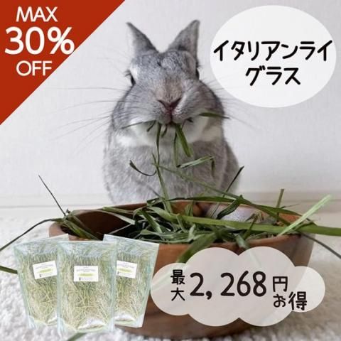ڥåȡۤФΥꥢ饤饹 40g | ϡ