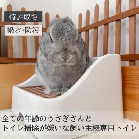 Ȼ礵󤬴֥ȥ ߥ륯ƥ | ϡ