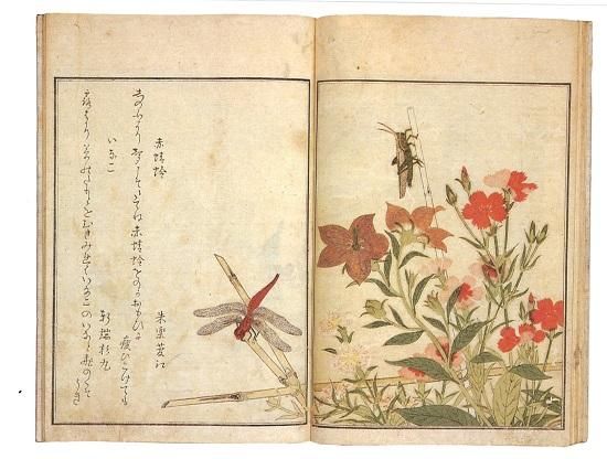 ウクライナ ポストカード 絵画 社会主義芸術 15枚セット 1986年 ソ連時代 624d2f6bf9bf0e45612b3e93234866