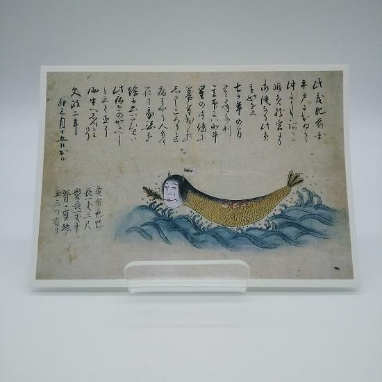 ポストカード 姫魚 国立歴史民俗博物館ミュージアムショップ