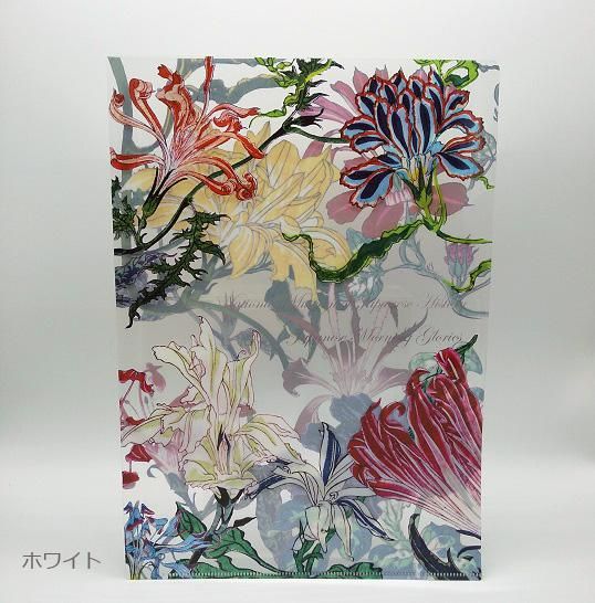 クリアファイルA4 変化朝顔 - 国立歴史民俗博物館ミュージアムショップ