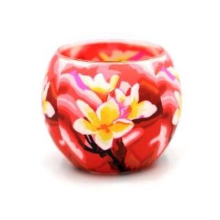 ɥۥ ޥΥꥢ/Magnolia