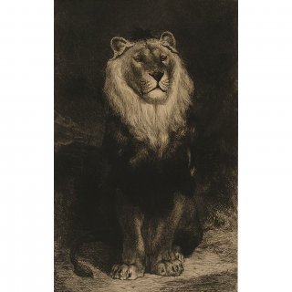  オーギュスト・アンドレ ランソン「ライオン・雄」19世紀 アンティーク調 銅版画 エッチング 額縁付き