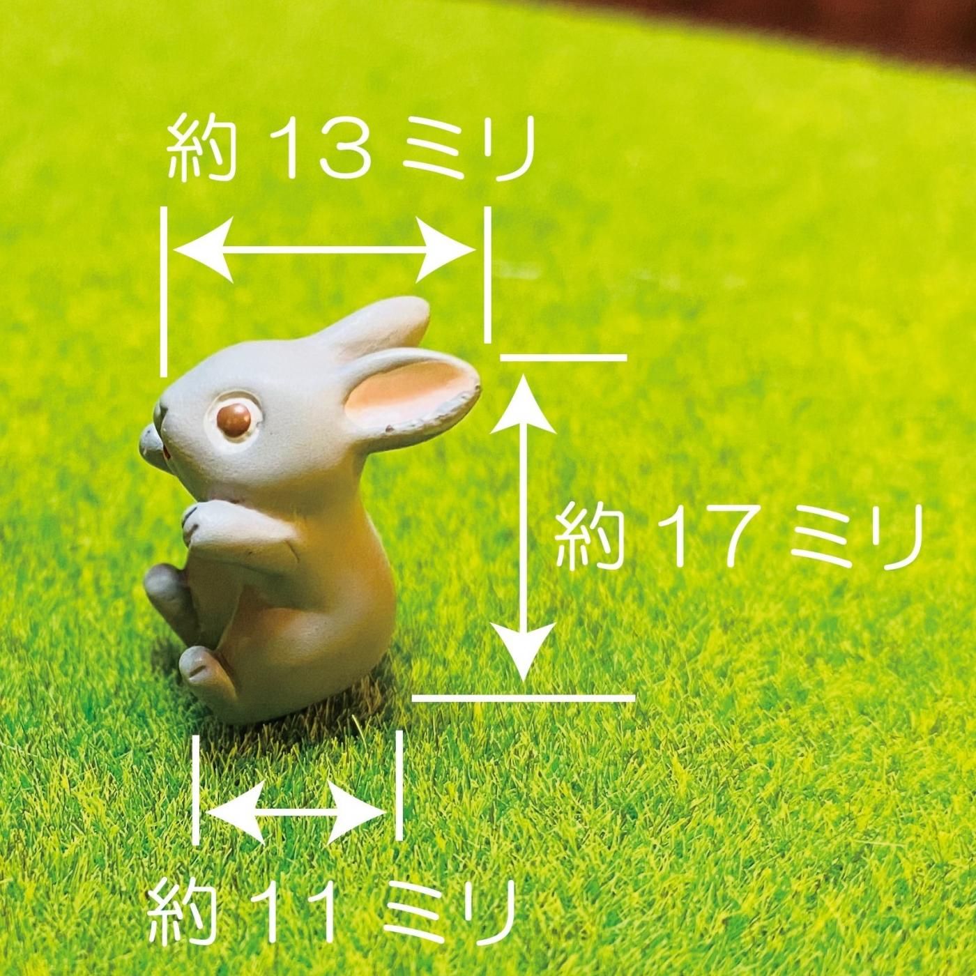 ミニチュアのウサギさん ミニチュアのウサギさん 【公式通販】