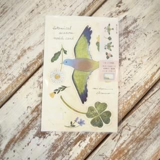 ӡ륫 botanical season ߤɤ