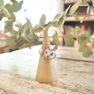 <img class='new_mark_img1' src='https://img.shop-pro.jp/img/new/icons1.gif' style='border:none;display:inline;margin:0px;padding:0px;width:auto;' />󥰡BLANCHEyaoʥ꡼