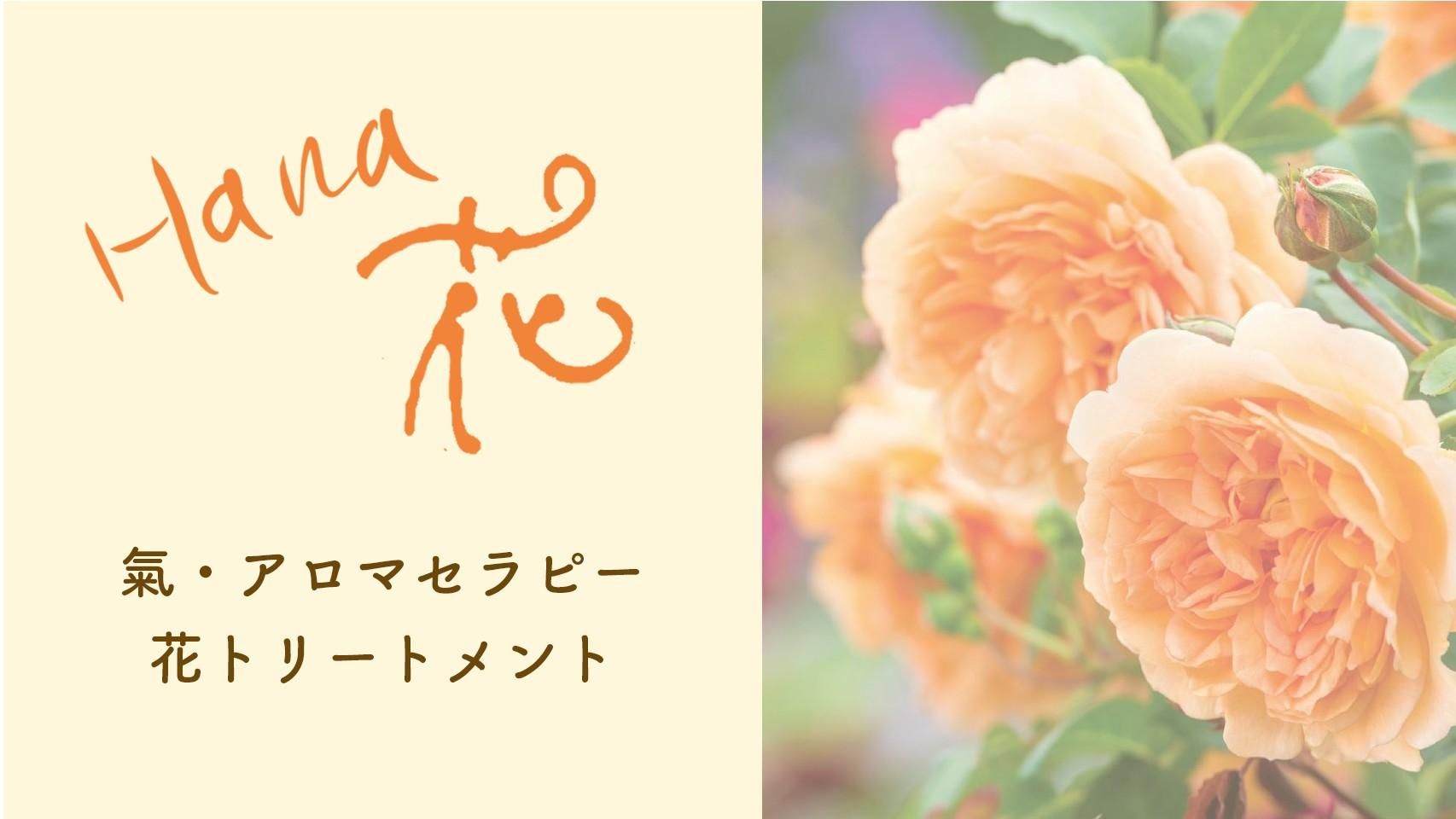 氣・ｱﾛﾏｾﾗﾋﾟｰ 花トリートメントオンラインストア