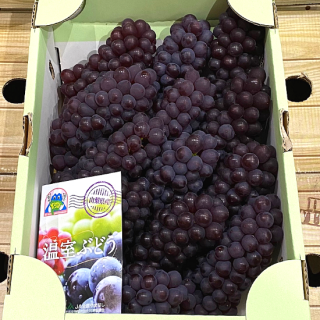 ǥ饦  2L 2K