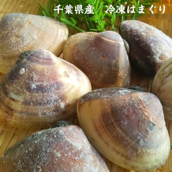 千葉県九十九里産 冷凍はまぐりの通販 丸六オンラインショップ