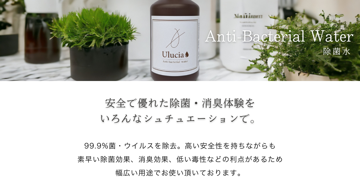 ѥѤβ