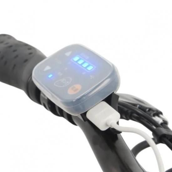 PELTECH X-Adventure TDN-246L ペルテック 20型 6段変速付折り畳み電動