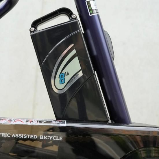 パンクしない PELTECH LOWSTEP ローステップ TDN-209L ペルテック 20型