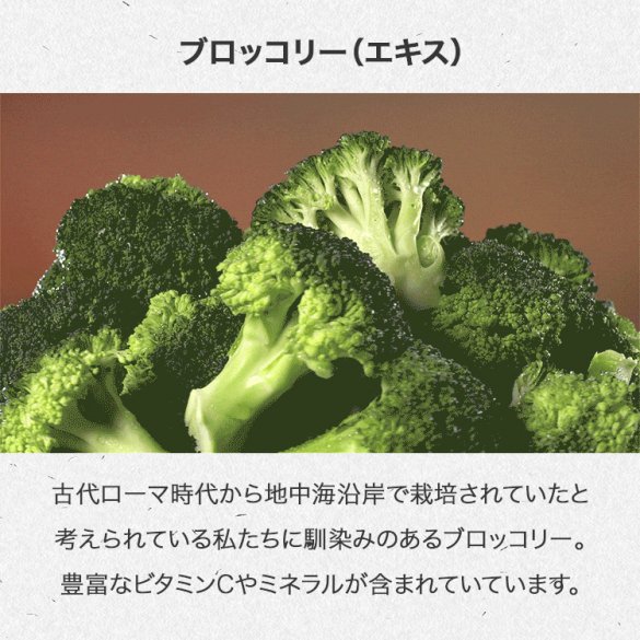 【閉店SALE 25%OFF】 [Aetem] Broccoli Extract