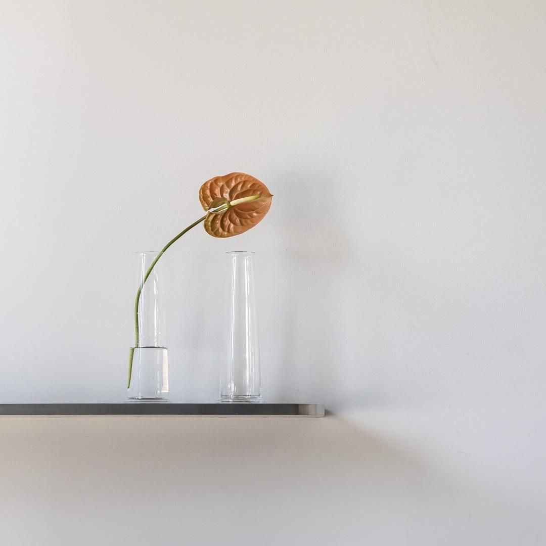 HIVE210 / multiple TISTOU