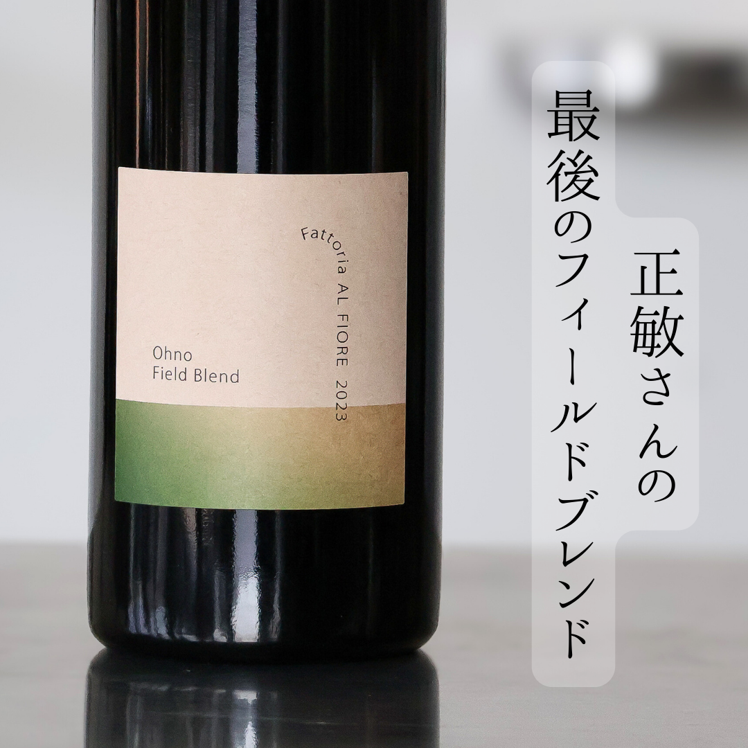 Ohno Filed Blend'23