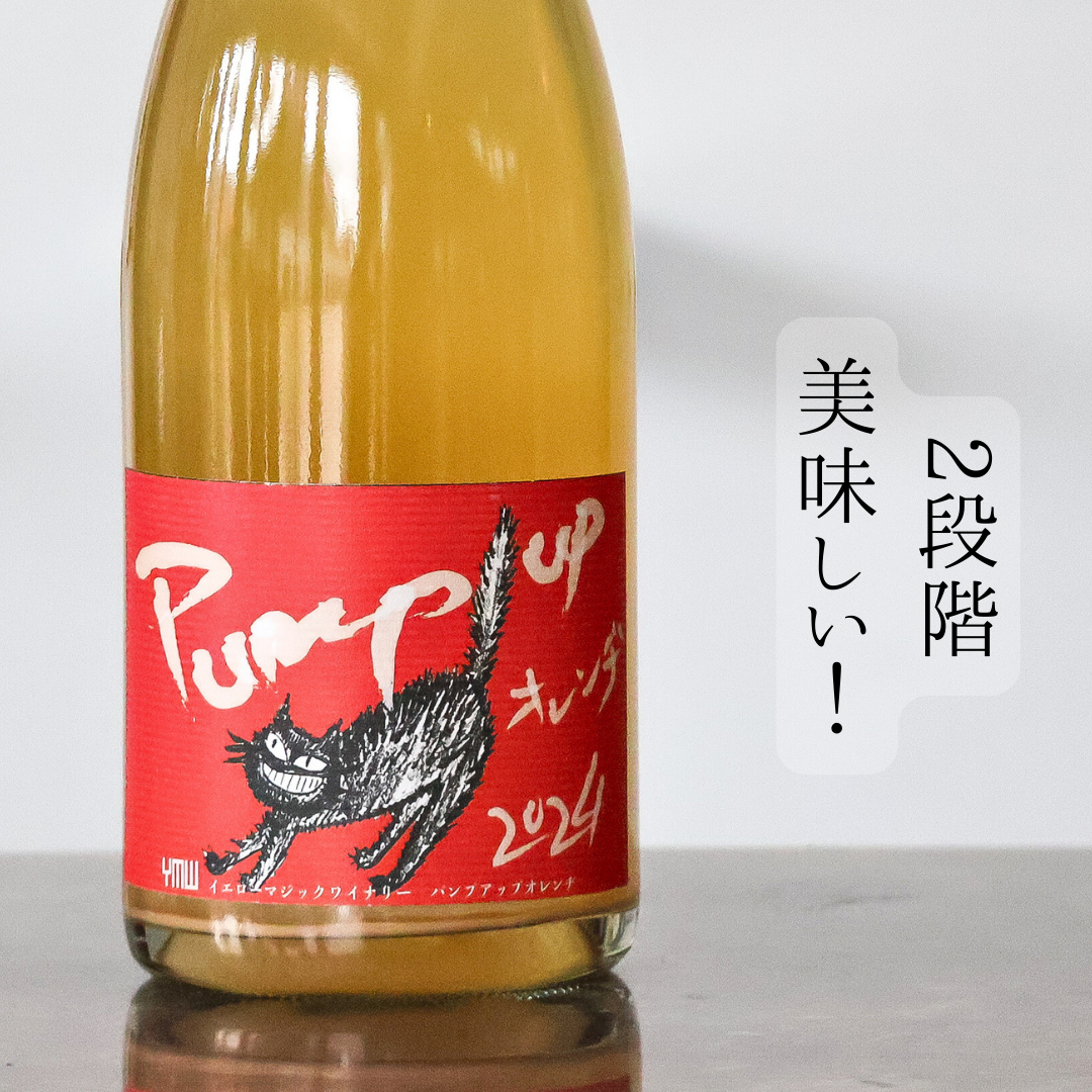Pump up オレンヂ’24