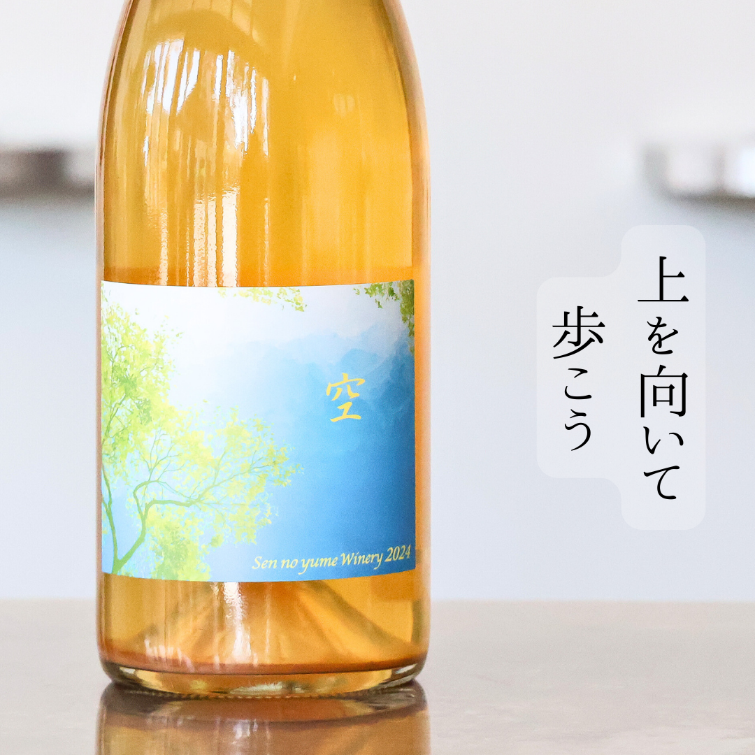 空-Sora-'24
