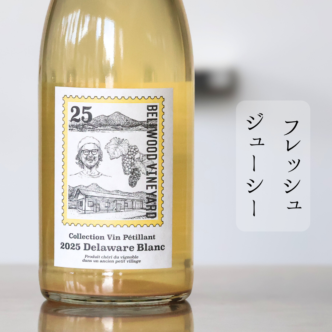 Collection Vin Petillant Delaware Blanc'25