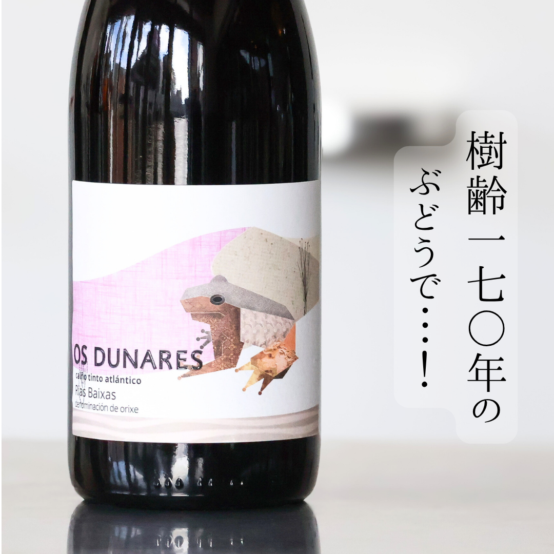 CAIÑO Tinto OS Dunares'22 