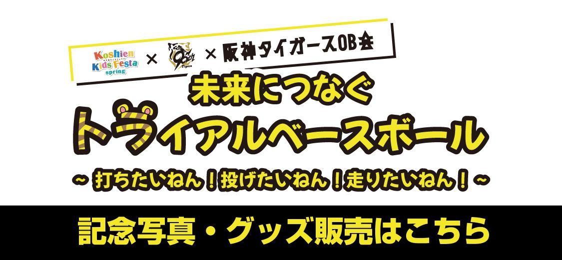 OB嶵