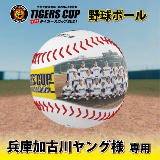 兵庫加古川ヤング【TIGERS CUP2021：野球ボール】