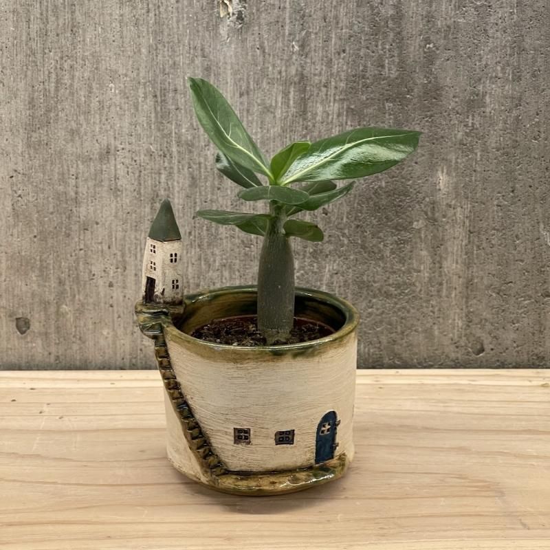 沖縄よりお届けするかわいい陶器・作家がひとつひとつ手作りして