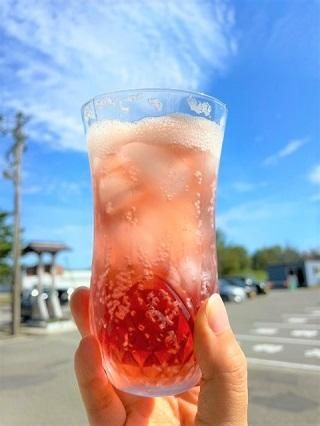 山形・庄内産 月山ぶどうサイダー 340ml - くしびき農工連 山形・庄内産 月山ぶどうサイダー 340ml - くしびき農工連