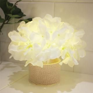 ALL PRODUCTS - VIA K STUDIO JAPAN（日本公式サイト）