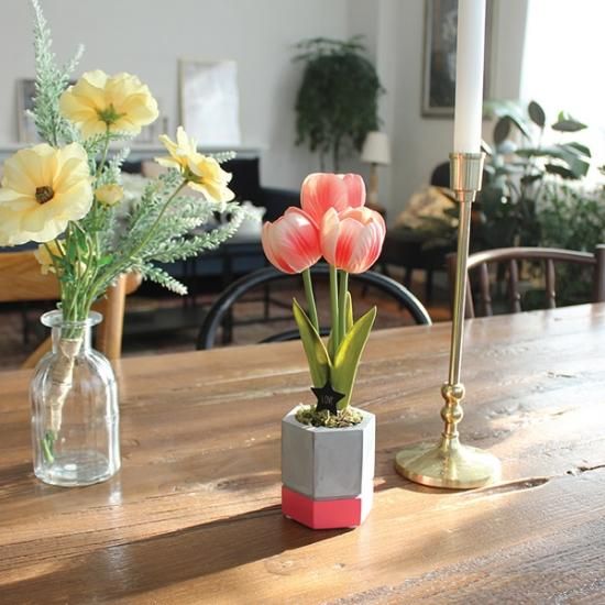 FEILER】チューリップラビット 巾着 ｜Biople WEB STORE