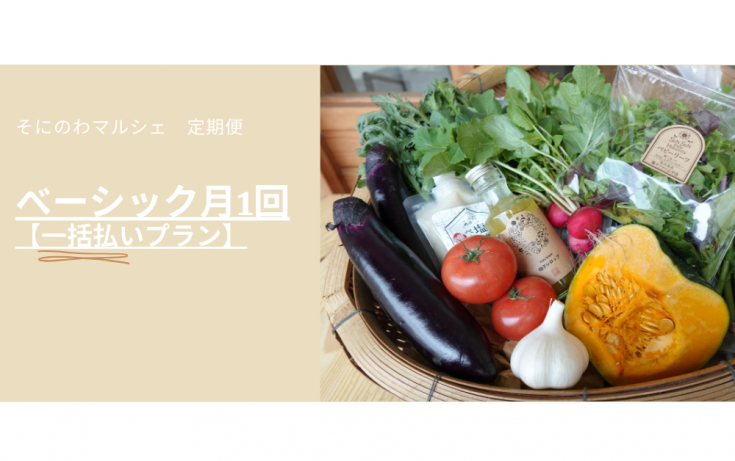 1ȯ ˤΤޥ륷إ١åʧץ2025ǯ7<img class='new_mark_img2' src='https://img.shop-pro.jp/img/new/icons1.gif' style='border:none;display:inline;margin:0px;padding:0px;width:auto;' />