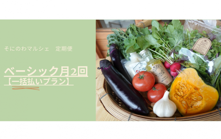 2ȯ ˤΤޥ륷إ١åʧץ2025ǯ5<img class='new_mark_img2' src='https://img.shop-pro.jp/img/new/icons1.gif' style='border:none;display:inline;margin:0px;padding:0px;width:auto;' />